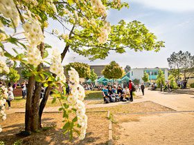 Frühling 354x235-2.jpg